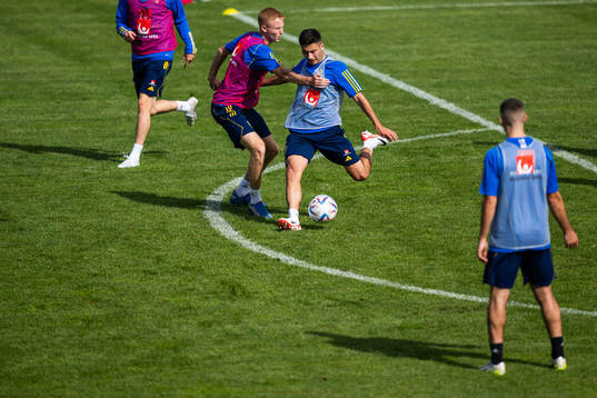 Hugo Larsson and Roony Bardghji of the Swedish under-21