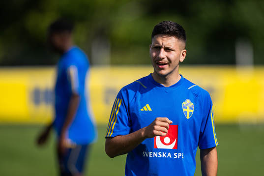 Roony Bardghji of the Swedish under-21 national football