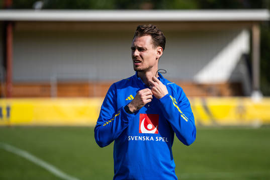 Head Coach Daniel Bäckström of the Swedish under-21