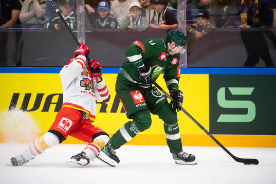Victor Ejdsell of Färjestad and Damien Brunner of EHC