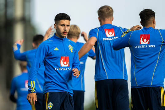 Roony Bardghji of Sweden
