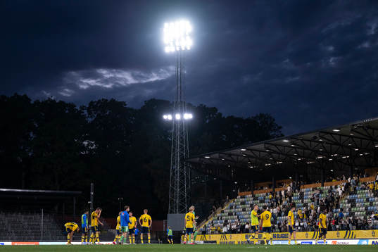 Players of Sweden