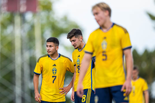 Roony Bardghji and Armin Gigovic of Sweden