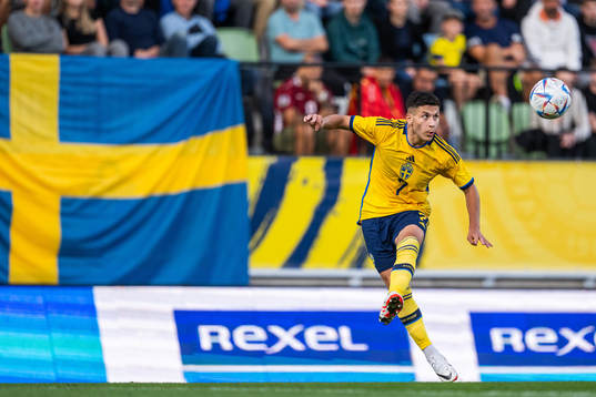 Roony Bardghji of Sweden