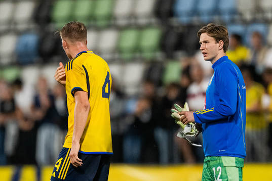 Goalkeeper David Celic of Sweden