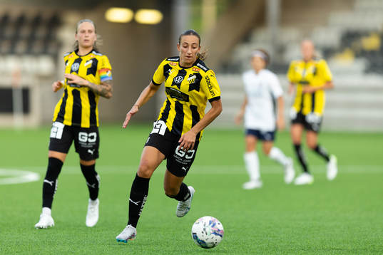 Häckens Rusul Rosa Kafaji
