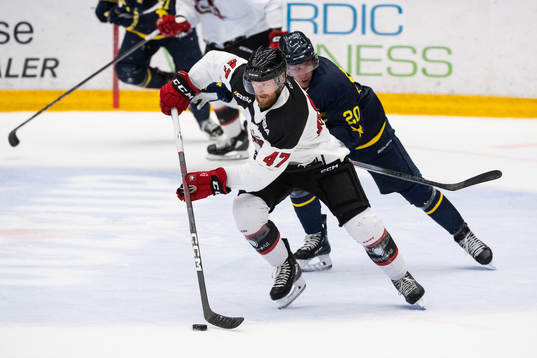 Malmö Redhawks Joakim Ryan och HV71s Andre Petersson