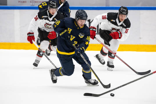 HV71s Kalle Maalahti