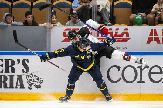 HV71s Victor Sjöholm och Malmö Redhawks Anton Wahlberg