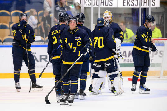 HV71s Andre Petersson deppar