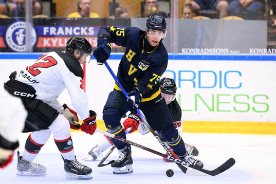 HV71s Radan Lenc