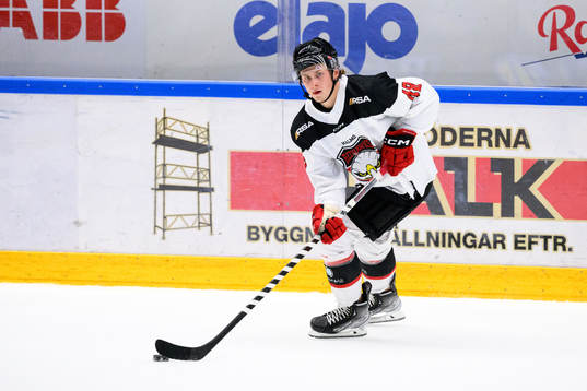 Malmö Redhawks Lauri Pajuniemi