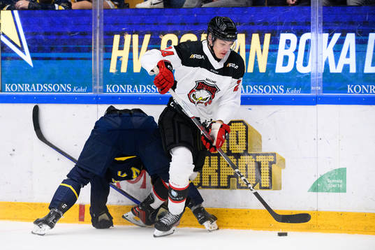 Malmö Redhawks Anton Wahlberg
