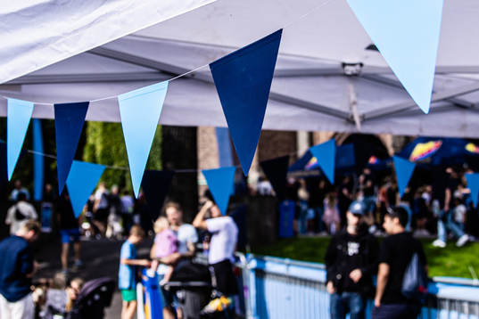 Vimplar med Djurgårdens färger