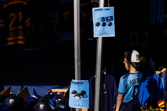 Djurgårdens souvenirbutik