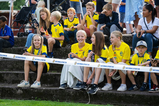 Swedish supporters