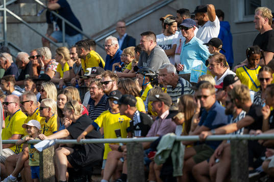 Spectators