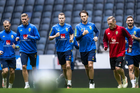 Albin Ekdal of the Swedish national football team at a