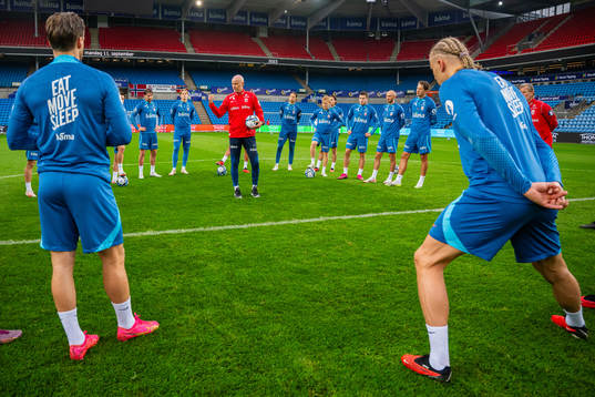 Ståle Solbakken, head coach of the Norwegian national