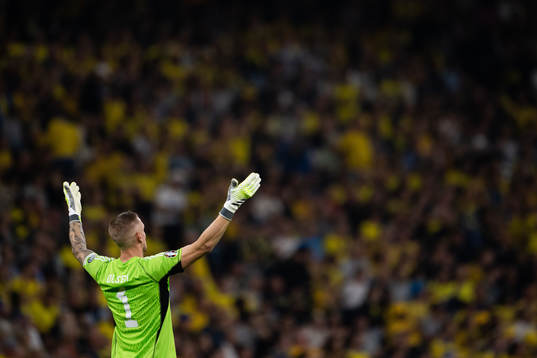 goalkeeper Robin Olsen of Sweden