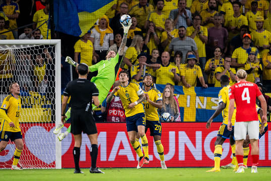 Goalkeeper Robin Olsen of Sweden