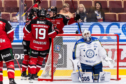 Leksands målvakt Mantas Armalis deppar