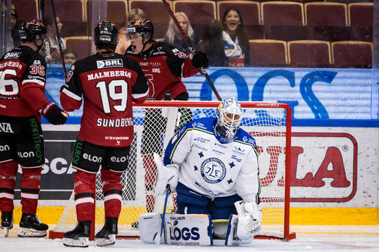 Leksands målvakt Mantas Armalis deppar