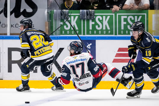 Linköpings Sebastian Strandberg, HV71s André Petersson