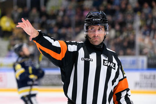 Domare Mikael Sjöqvist