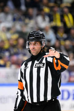 Domare Mikael Sjöqvist