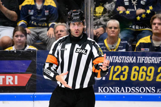 Domare Mikael Sjöqvist
