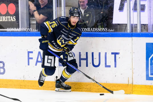 HV71s Radan Lenc