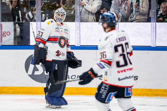 Växjös målvakt Emil Larmi deppar