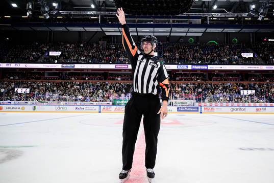 Domare Richard Magnusson