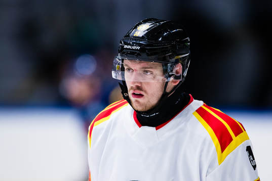 Brynäs Karlis Cukste