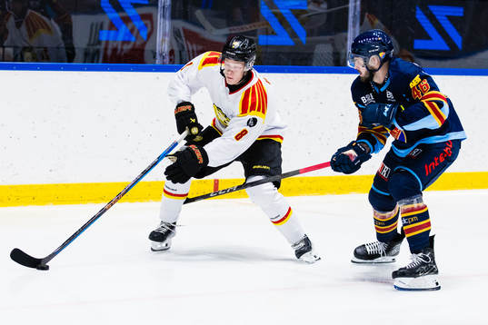 Brynäs Albin Udd och Djurgårdens Albin Grewe