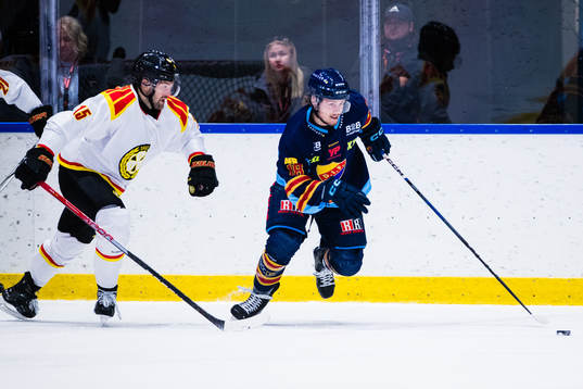 Brynäs Simon Bertilsson och Djurgårdens Zach Magwood