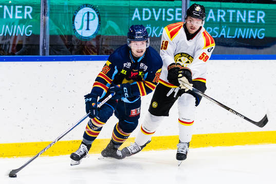 Djurgårdens Zach Magwood och Brynäs Karlis Cukste