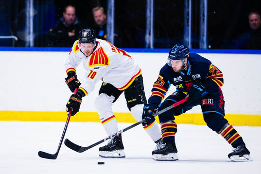 Brynäs Miks Indrasis och Djurgårdens Anton Gradin