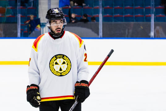 Brynäs Tyler Vesel