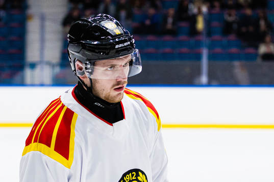 Brynäs Karlis Cukste
