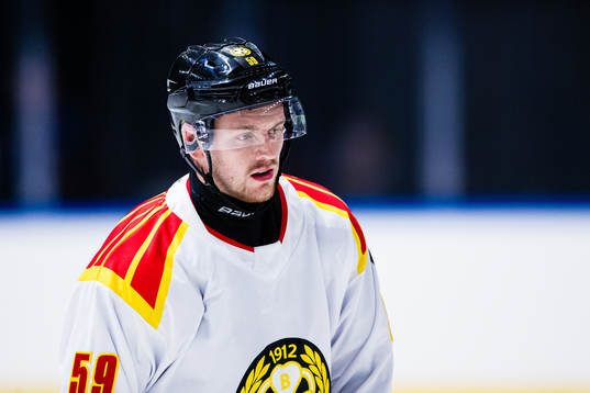 Brynäs Karlis Cukste