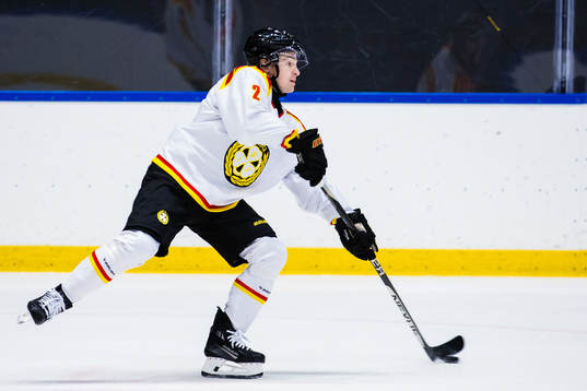 Brynäs Anton Johannesson