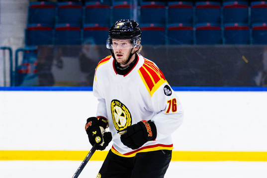 Brynäs Oskar Kvist