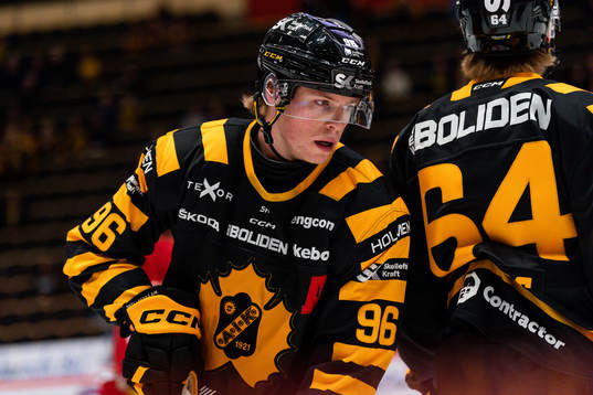 Skellefteås Rickard Hugg