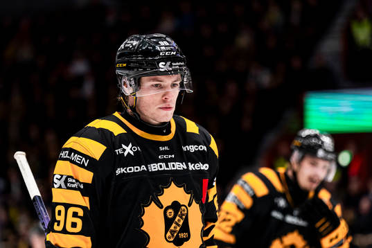 Skellefteås Rickard Hugg deppar