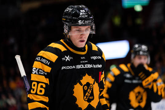 Skellefteås Rickard Hugg deppar