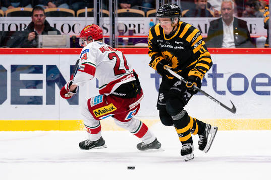 Skellefteås Max Lindholm