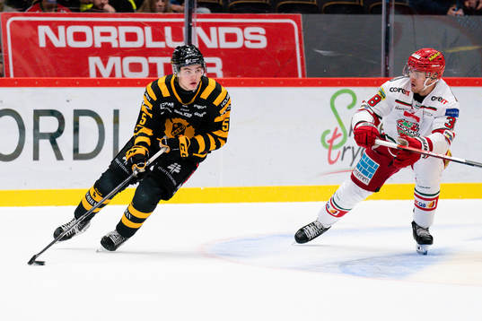 Skellefteås Axel Sandin-Pellikka och MoDos Johan Södergran