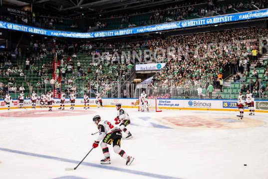 Malmö Redhawks spelare